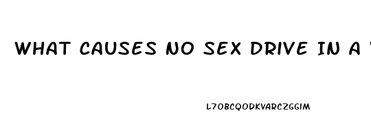 What Causes No Sex Drive In A Woman