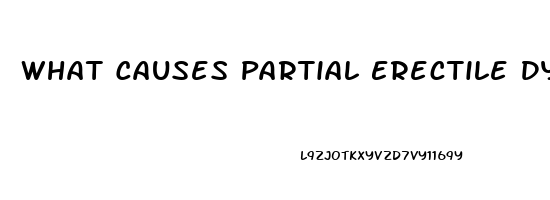 What Causes Partial Erectile Dysfunction