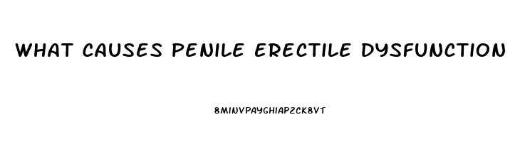 What Causes Penile Erectile Dysfunction