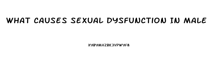 What Causes Sexual Dysfunction In Male