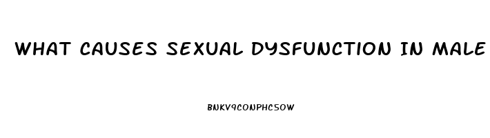 What Causes Sexual Dysfunction In Male