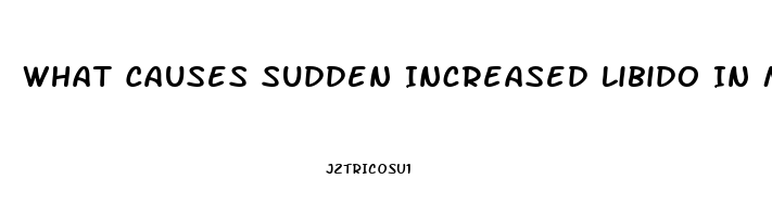 What Causes Sudden Increased Libido In Men