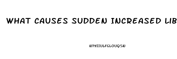 What Causes Sudden Increased Libido In Men