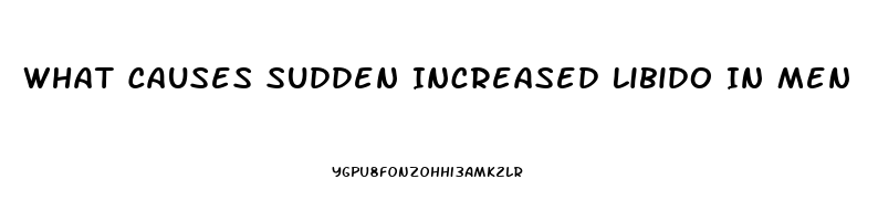 What Causes Sudden Increased Libido In Men