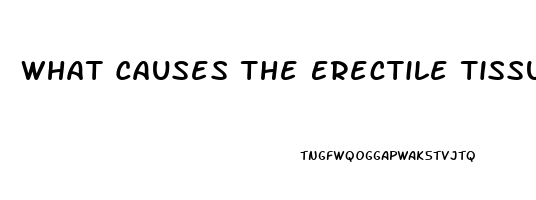 What Causes The Erectile Tissue To Become Stiff