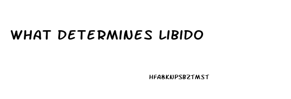 What Determines Libido