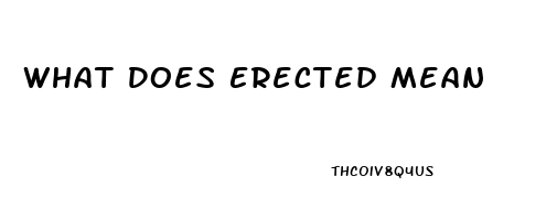 What Does Erected Mean