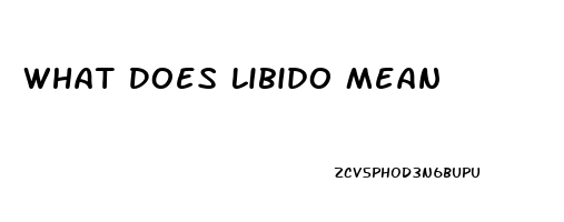 What Does Libido Mean