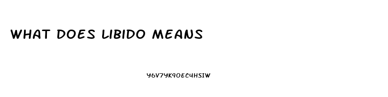 What Does Libido Means