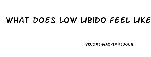 What Does Low Libido Feel Like