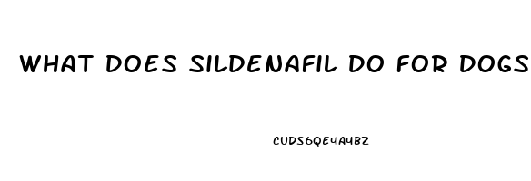 What Does Sildenafil Do For Dogs