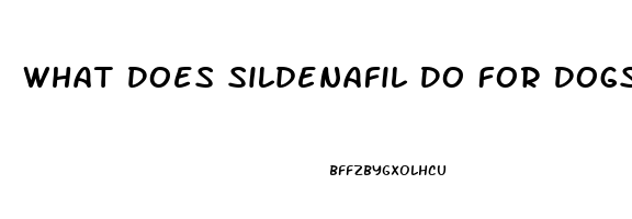 What Does Sildenafil Do For Dogs