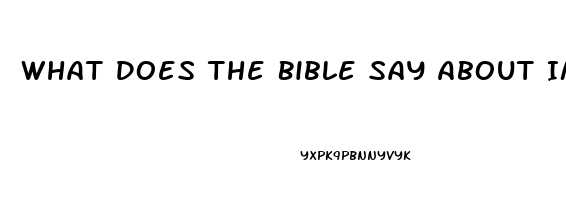 What Does The Bible Say About Impotence