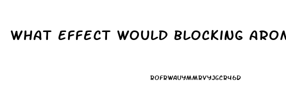 What Effect Would Blocking Aromatase Have On Male Sex Drive