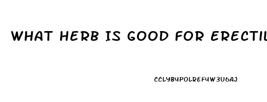 What Herb Is Good For Erectile Dysfunction