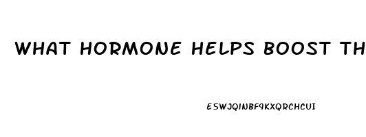 What Hormone Helps Boost The Libido