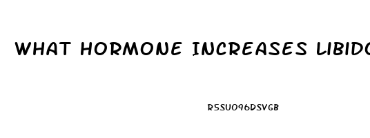 What Hormone Increases Libido