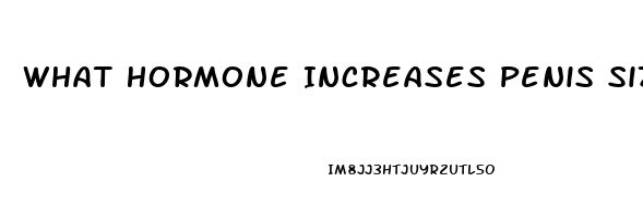 What Hormone Increases Penis Size