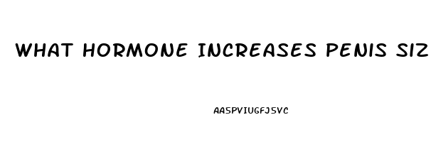 What Hormone Increases Penis Size