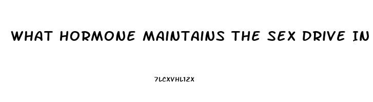 What Hormone Maintains The Sex Drive In Both Men And Women