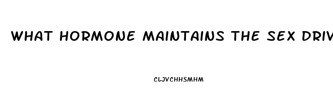 What Hormone Maintains The Sex Drive In Both Men And Women