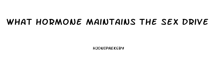 What Hormone Maintains The Sex Drive In Both Men And Women