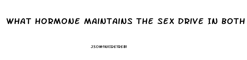 What Hormone Maintains The Sex Drive In Both Men And Women