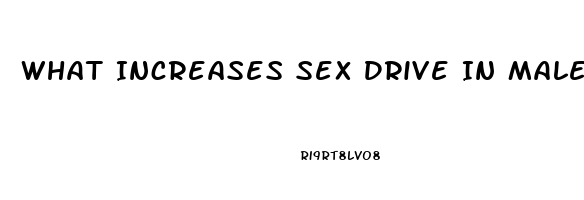 What Increases Sex Drive In Males