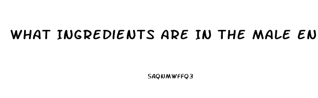 What Ingredients Are In The Male Enhancement Pill Red