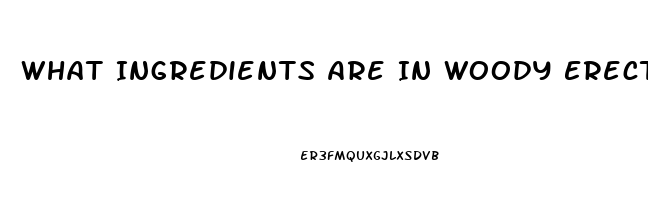 What Ingredients Are In Woody Erection Pills