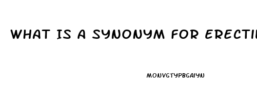 What Is A Synonym For Erectile Dysfunction Quizlet