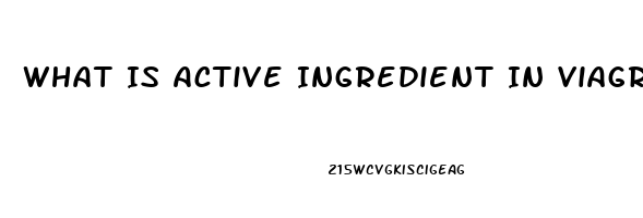 What Is Active Ingredient In Viagra