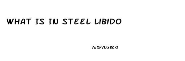 What Is In Steel Libido