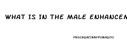 What Is In The Male Enhancement Pill Brahma