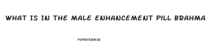 What Is In The Male Enhancement Pill Brahma