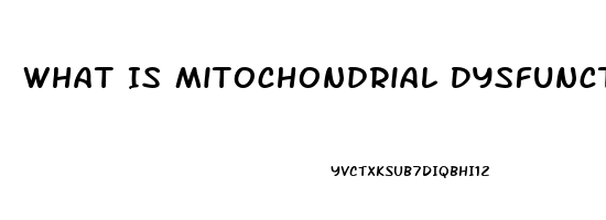 What Is Mitochondrial Dysfunction