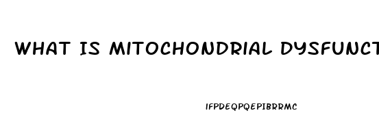 What Is Mitochondrial Dysfunction