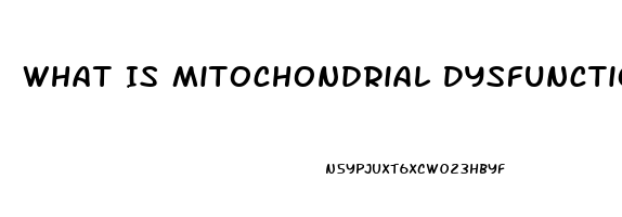 What Is Mitochondrial Dysfunction