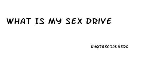 What Is My Sex Drive