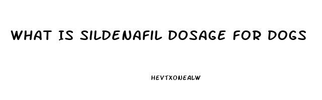 What Is Sildenafil Dosage For Dogs