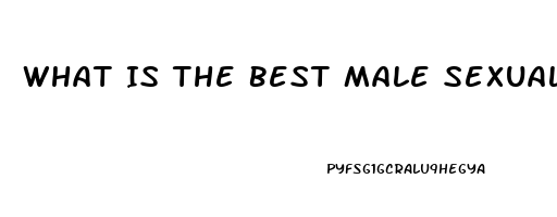 What Is The Best Male Sexual Enhancement Pill