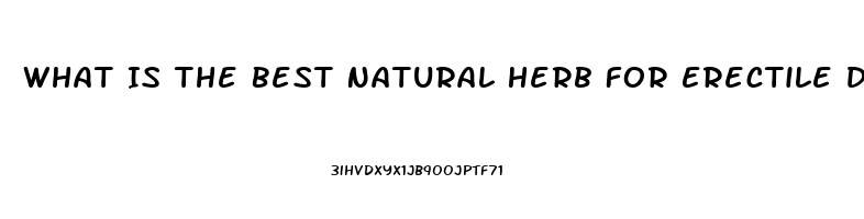 What Is The Best Natural Herb For Erectile Dysfunction