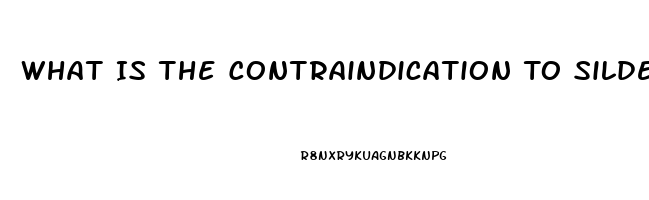 What Is The Contraindication To Sildenafil Citrate Administration