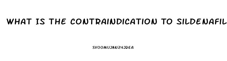 What Is The Contraindication To Sildenafil Citrate Administration