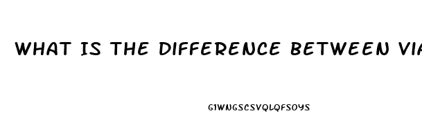 What Is The Difference Between Viagra And Cialis