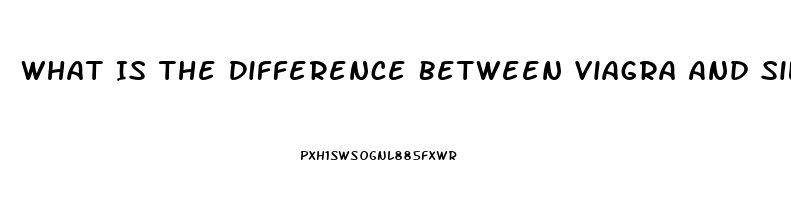 What Is The Difference Between Viagra And Sildenafil