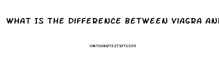 What Is The Difference Between Viagra And Viagra Professional