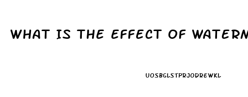 What Is The Effect Of Watermelon Mix With Sildenafil