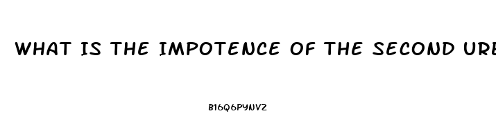 What Is The Impotence Of The Second Urban Revolution