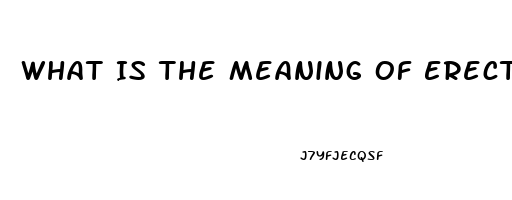 What Is The Meaning Of Erectile Dysfunction In Hindi